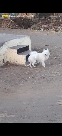 મેલ વેચવાનો છે ં