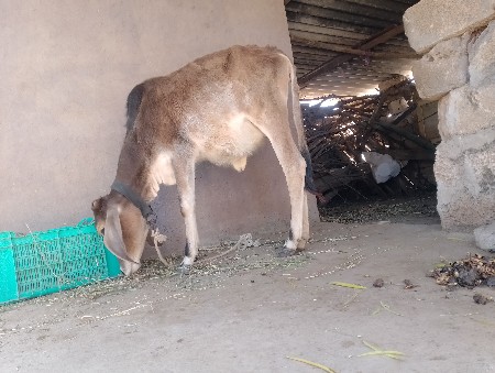 थंबनेल 2