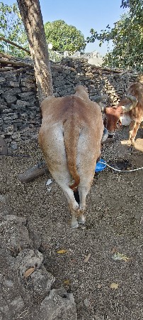 थंबनेल 3