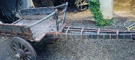 ગાડું વેસવાનુસે