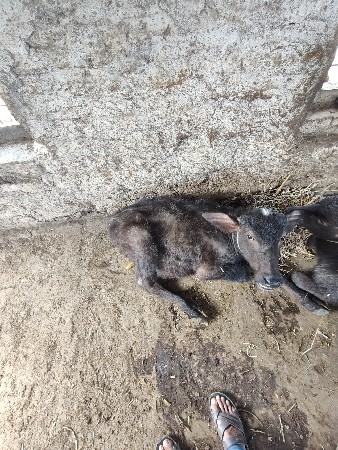 थंबनेल 3