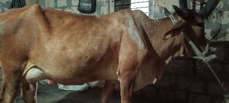 थंबनेल 2