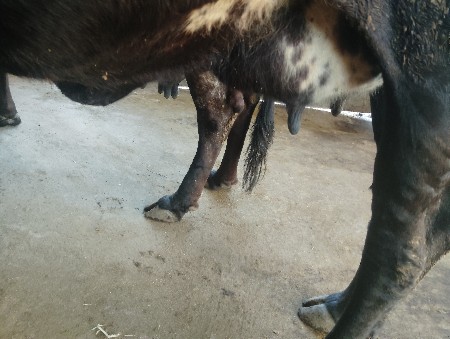 થંબનેલ 3