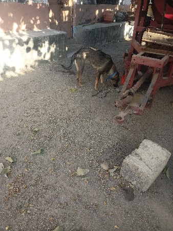 थंबनेल 2