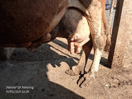 થંબનેલ 3