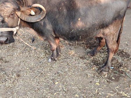 थंबनेल 2