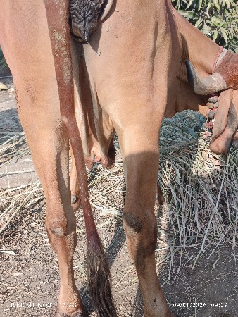 थंबनेल 3