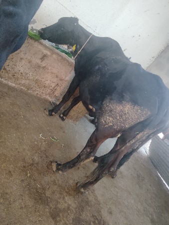 થંબનેલ 2