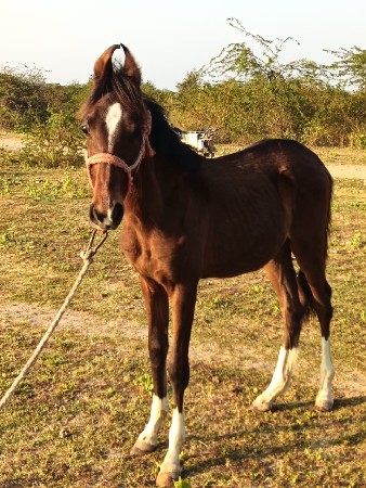 थंबनेल 2