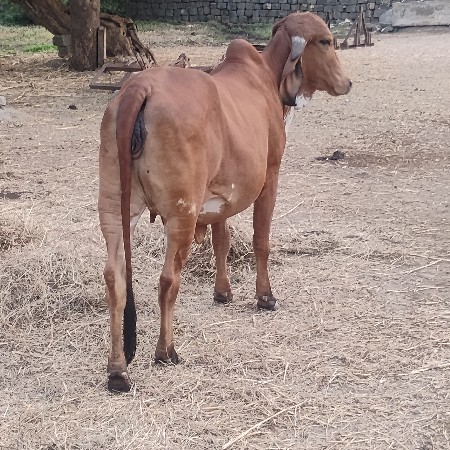 थंबनेल 2