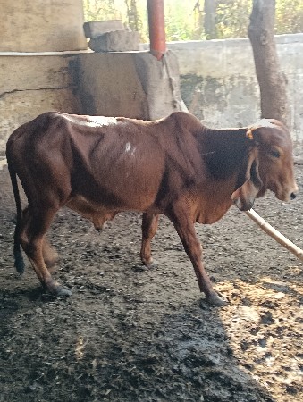 થંબનેલ 2