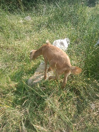 થંબનેલ 3