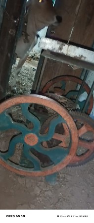 થંબનેલ 3