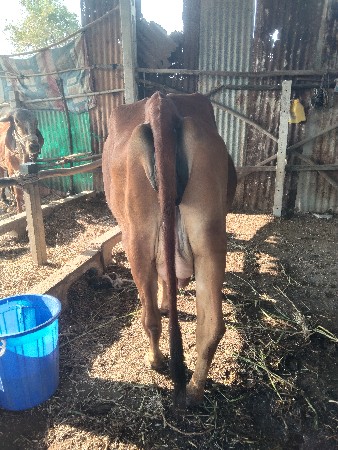 थंबनेल 2