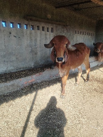 थंबनेल 2