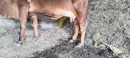 10 દિવસ ની કાશી સે