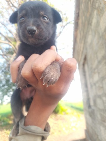 જન્મ સફર