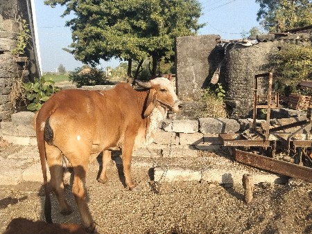 थंबनेल 2