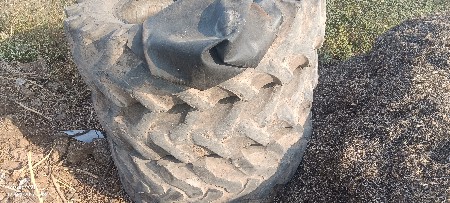 થંબનેલ 3