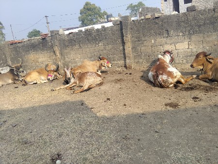 थंबनेल 3