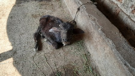 थंबनेल 2