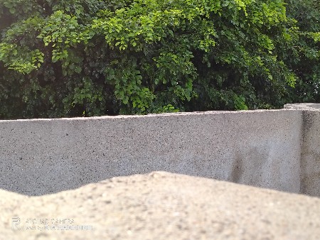 500 vigha jamin chhe