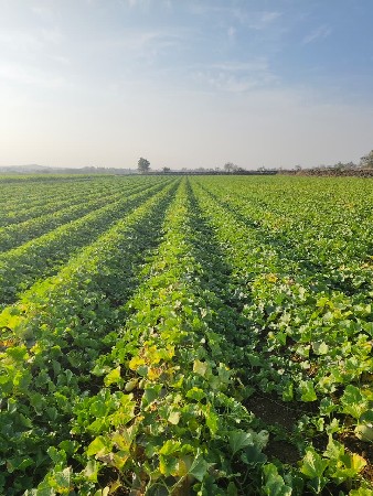 थंबनेल 3