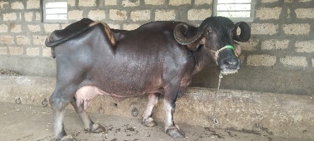 थंबनेल 2