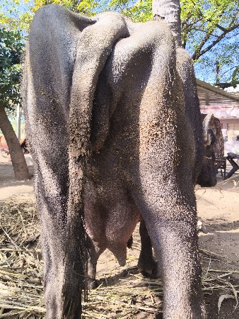 थंबनेल 2