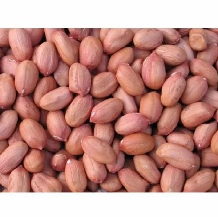 જી  20  મગફળી વેચવાની છે