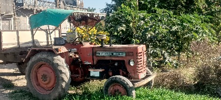 થંબનેલ 3