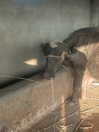 थंबनेल 3