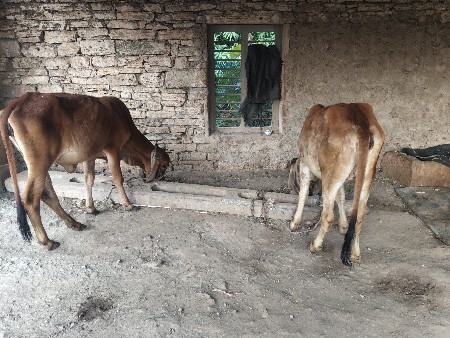 વેચવાની