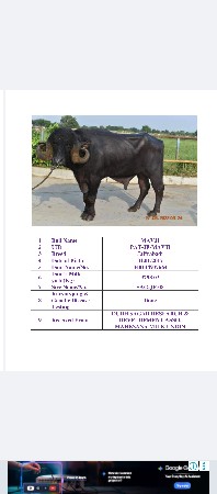 थंबनेल 5