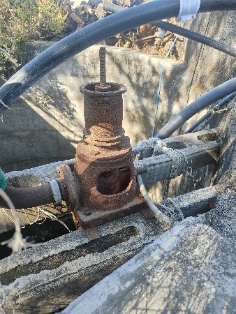 थंबनेल 2