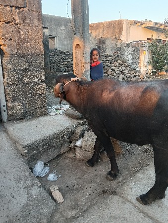 थंबनेल 2