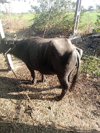 थंबनेल 2