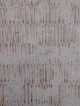 મકાન સાથે નો પ્લોટ વેચવાનો છે.