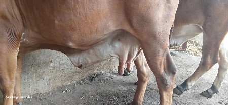 ત્રીજા વેતર બધી જવાબદારી