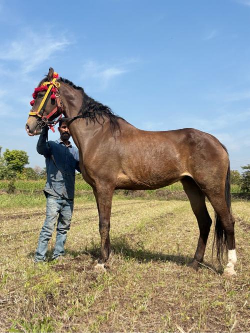 थंबनेल 3