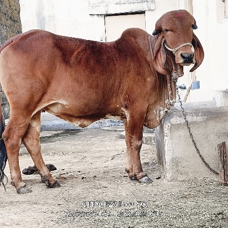 थंबनेल 5