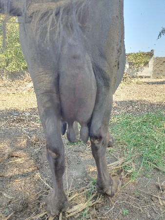 थंबनेल 2