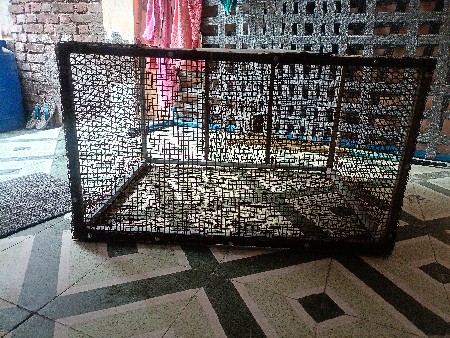 थंबनेल 3