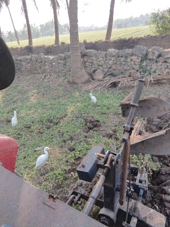 ચવડા વેસ્વના che