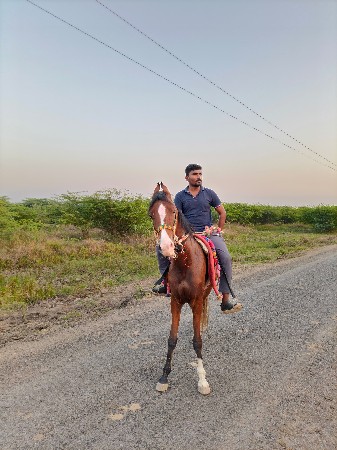 थंबनेल 3