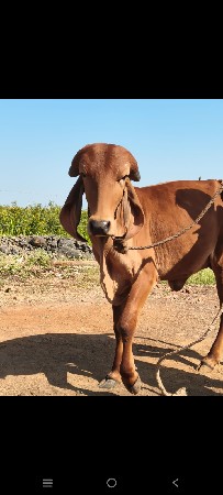 थंबनेल 2