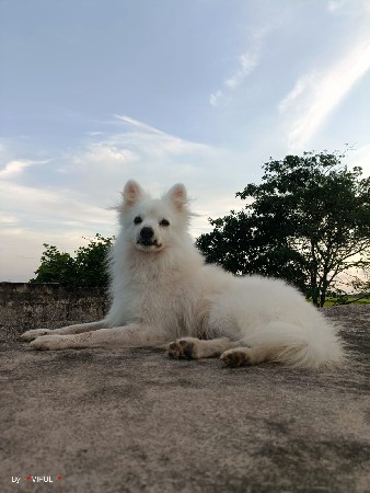 थंबनेल 2