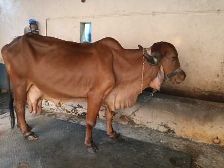 थंबनेल 3