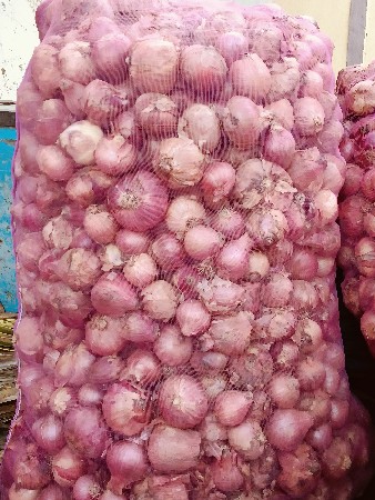 ડુંગળી વેચવા ની છે