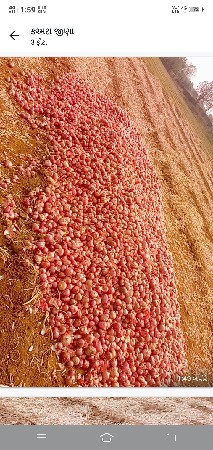 ડૂગરી વેશવાની છે